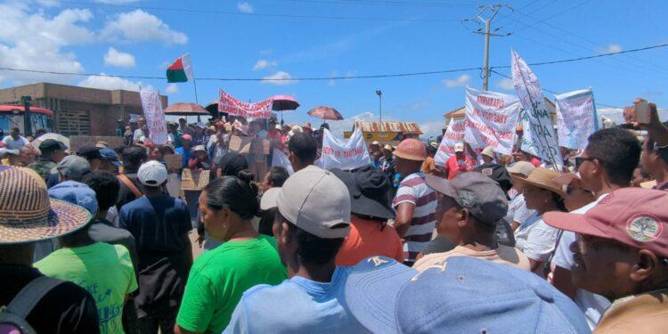 COMMERCE – Colère des riziculteurs de l’Alaotra face à l’effondrement des prix du riz local