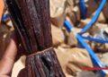 GESTION DES AVOIRS ILLICITES – 15 conteneurs de vanilles rouges mis en vente aux enchères à Toamasina