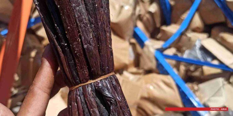 GESTION DES AVOIRS ILLICITES – 15 conteneurs de vanilles rouges mis en vente aux enchères à Toamasina