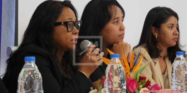 INVESTISSEMENT – Le secteur des services capte 57,4% du total des entreprises créées dans la région Analamanga pour les deux dernières décennies