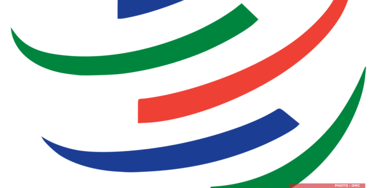 PROTECTION INDUSTRIELLE – L’Organisation mondiale du commerce rapporte l’examen par son Comité de quatre mesures de sauvegarde présentés par Madagascar