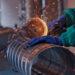 COMPÉTITIVITÉ CONTINENTALE – Madagascar se fait distancer en Afrique en matière de développement industriel, note la BAD