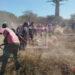 ENVIRONNEMENT – Des pares-feux accessibles en voiture pour renforcer la lutte contre les incendies dans l’aire protégée de l’Allée des Baobabs