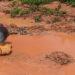 MINES – Le gouvernement envisage de généraliser à tout Madagascar la perception à la source des ristournes dans la filière or